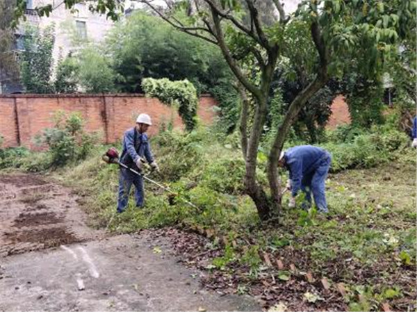 美化環(huán)境凝人心 雨中堅(jiān)守顯真情——隆山科峰公司黨支部開展主題黨日活動3.jpg